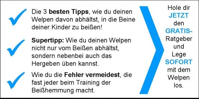 Welpenerziehung kinderleicht