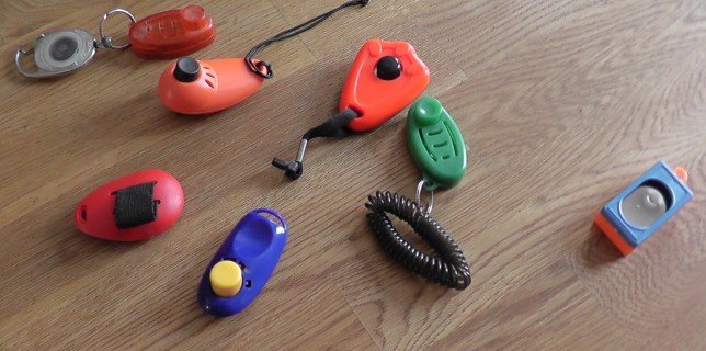 Clickertraining