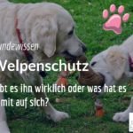 Welpenschutz es gibt keinen welpenschutz