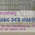 Die Hundebox