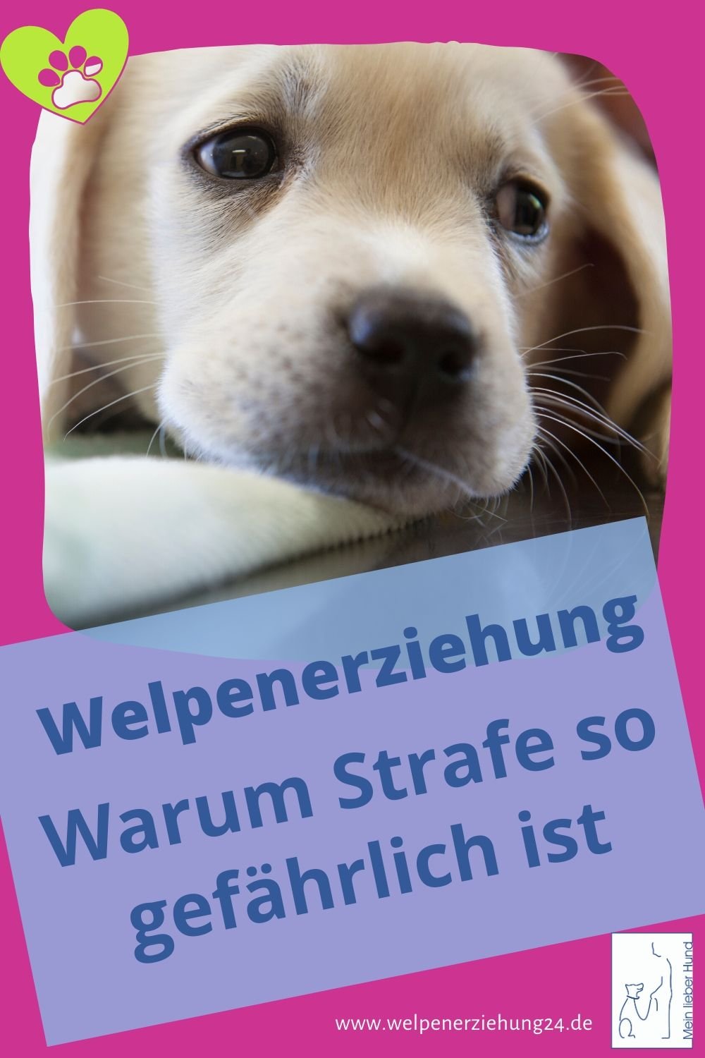 Welpen erziehen mit Nebenwirkungen