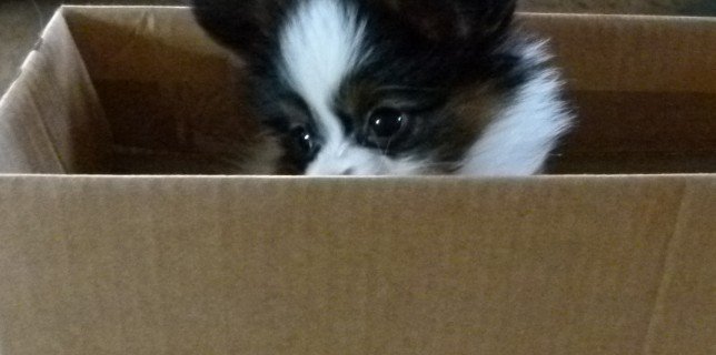 Cleo - Huhu
