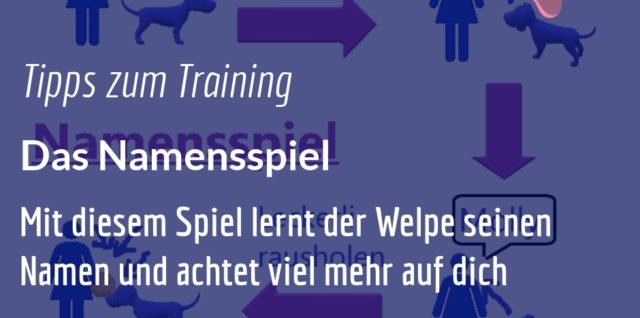 Name lernen und aufmerksamer sein