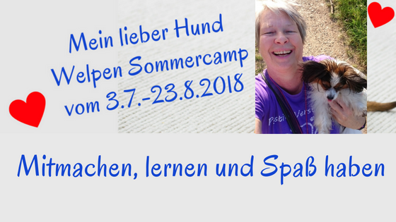 welpen sommercamp