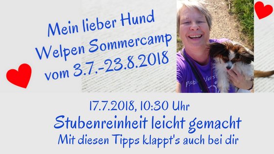 So wird dein Welpe schnell stubenrein