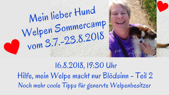 welpe macht blödsinn