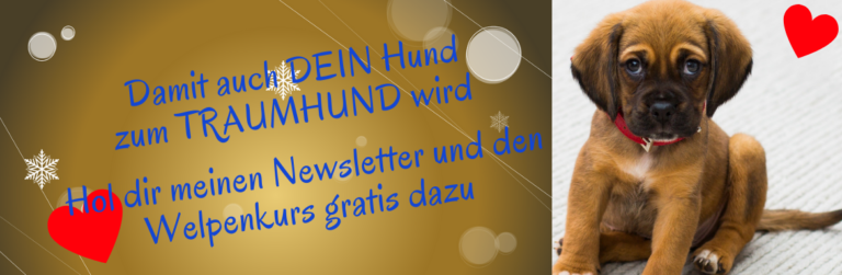 Mein lieber Hund TraumhundeAdventskalender Welpenerziehung