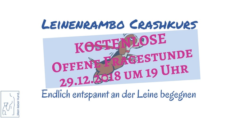 mlh-leinenrambo-elopage-fragestunde fragestunde leinenrambo crashkurs