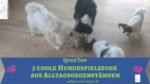 Quick Tipp: Hundespielzeug aus Alltagsgegenständen Hundeerziehung - hundespielzeug aus alltgsgegenständen
