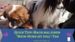 Quick-Tipp: Mach mal einen