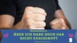 Ich habe doch nicht geschimpft