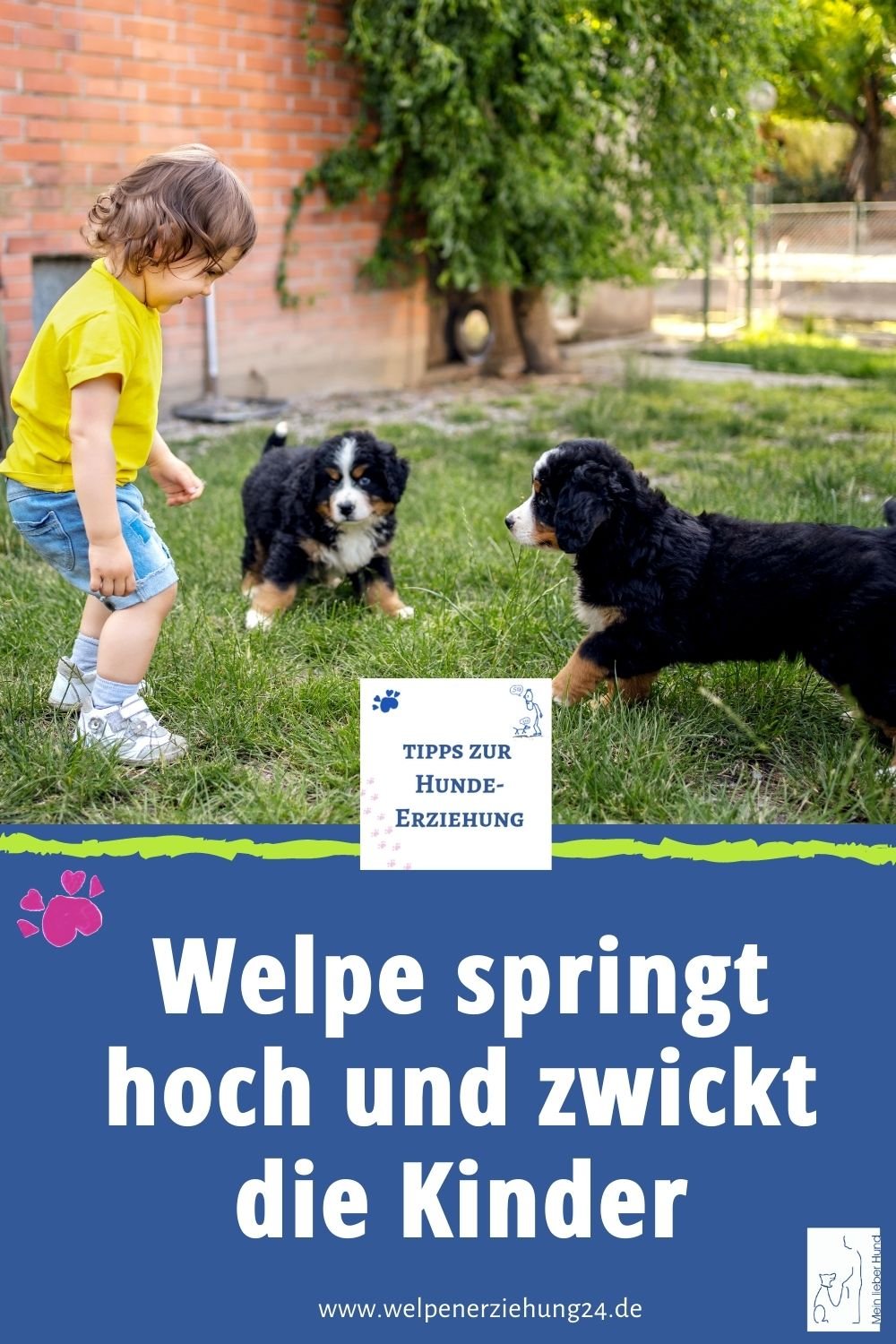 Was tun, wenn der Welpe an den Kindern hochspringt und sie zwickt